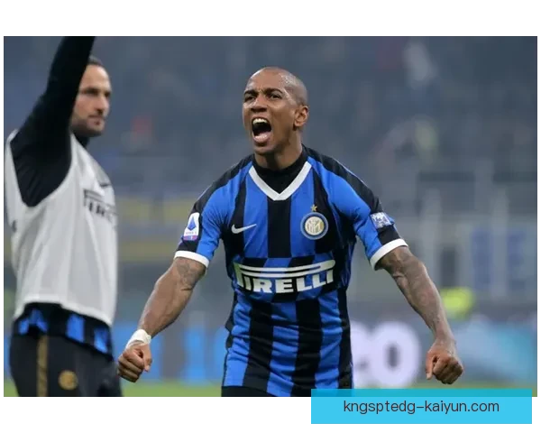 阿什利扬战术适配性